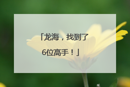 龙海，找到了6位高手！