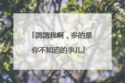 鹮鹮我啊，多的是你不知道的事儿