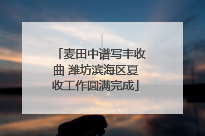 麦田中谱写丰收曲 潍坊滨海区夏收工作圆满完成
