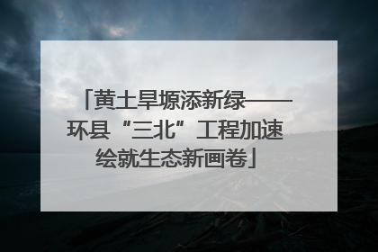 黄土旱塬添新绿——环县“三北”工程加速绘就生态新画卷