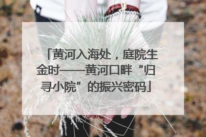 黄河入海处，庭院生金时——黄河口畔“归寻小院”的振兴密码