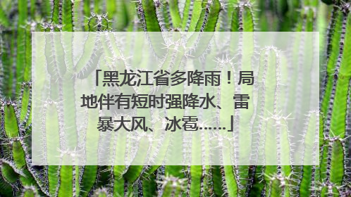 黑龙江省多降雨！局地伴有短时强降水、雷暴大风、冰雹……