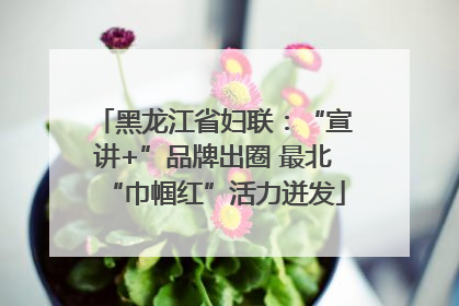 黑龙江省妇联：“宣讲+”品牌出圈 最北“巾帼红”活力迸发