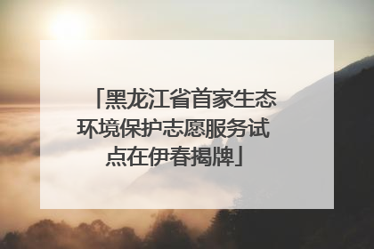 黑龙江省首家生态环境保护志愿服务试点在伊春揭牌