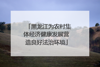 黑龙江为农村集体经济健康发展营造良好法治环境