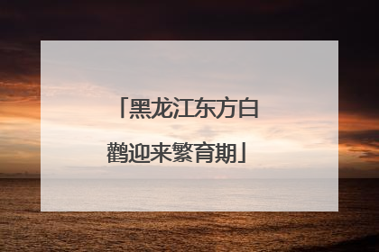 黑龙江东方白鹳迎来繁育期