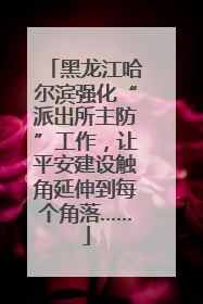 黑龙江哈尔滨强化“派出所主防”工作，让平安建设触角延伸到每个角落……