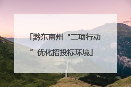 黔东南州“三项行动”优化招投标环境