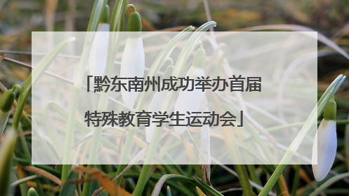 黔东南州成功举办首届特殊教育学生运动会