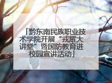 黔东南民族职业技术学院开展“戎耀大讲堂”暨国防教育进校园宣讲活动