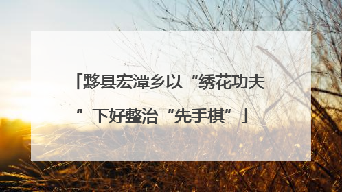 黟县宏潭乡以“绣花功夫”下好整治“先手棋”