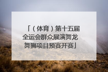 （体育）第十五届全运会群众展演舞龙舞狮项目预赛开赛