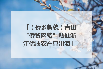 （侨乡新貌）青田“侨贸网络”助推浙江优质农产品出海