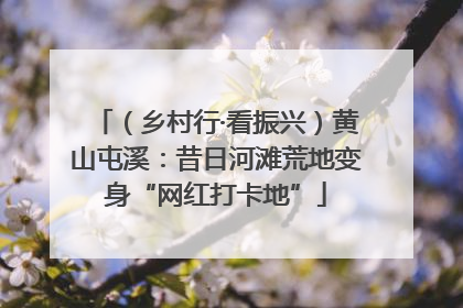 （乡村行·看振兴）黄山屯溪：昔日河滩荒地变身“网红打卡地”