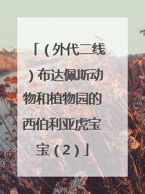 （外代二线）布达佩斯动物和植物园的西伯利亚虎宝宝（2）