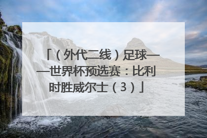 （外代二线）足球——世界杯预选赛：比利时胜威尔士（3）