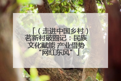 （走进中国乡村）茗新村破圈记：民族文化赋能 产业借势 “网红东风”