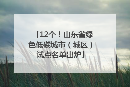 12个！山东省绿色低碳城市（城区）试点名单出炉