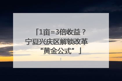 1亩=3倍收益？宁夏兴庆区解锁改革“黄金公式”