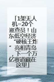 1架无人机=20个巡查员！山东低空经济“硬核王炸”亮相青岛，下一个万亿赛道藏在这里