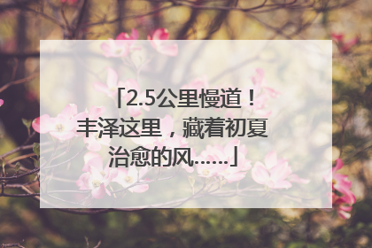 2.5公里慢道！丰泽这里，藏着初夏治愈的风……