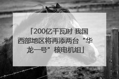 200亿千瓦时 我国西部地区将再添两台“华龙一号”核电机组