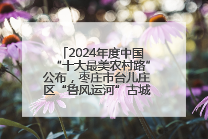 2024年度中国“十大最美农村路”公布，枣庄市台儿庄区“鲁风运河”古城文化廊道上榜！