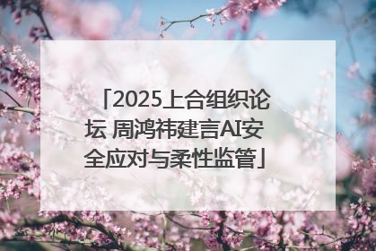 2025上合组织论坛 周鸿祎建言AI安全应对与柔性监管