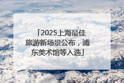 2025上海最佳旅游新场景公布，浦东美术馆等入选
