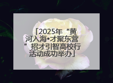 2025年“黄河入海•才聚东营”招才引智高校行活动成功举办