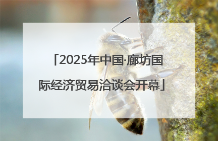 2025年中国·廊坊国际经济贸易洽谈会开幕