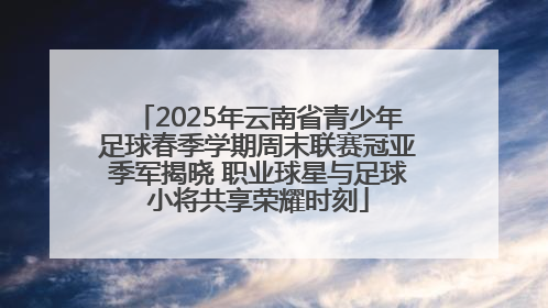 2025年云南省青少年足球春季学期周末联赛冠亚季军揭晓 职业球星与足球小将共享荣耀时刻