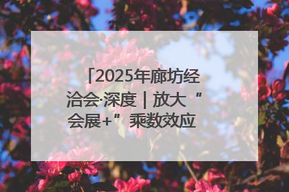 2025年廊坊经洽会·深度｜放大“会展+”乘数效应 打造消费新场景