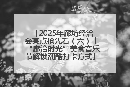 2025年廊坊经洽会亮点抢先看（六）丨“廊洽时光”美食音乐节解锁潮酷打卡方式