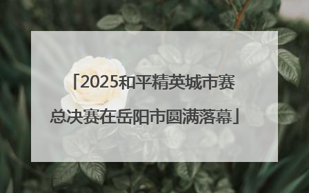 2025和平精英城市赛总决赛在岳阳市圆满落幕