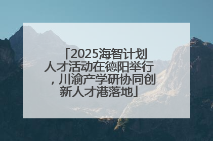 2025海智计划人才活动在德阳举行，川渝产学研协同创新人才港落地