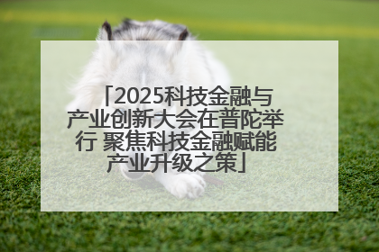 2025科技金融与产业创新大会在普陀举行 聚焦科技金融赋能产业升级之策