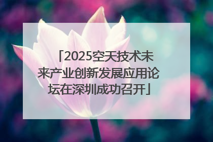 2025空天技术未来产业创新发展应用论坛在深圳成功召开
