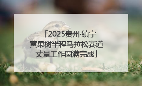 2025贵州·镇宁黄果树半程马拉松赛道丈量工作圆满完成