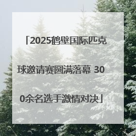 2025鹤壁国际匹克球邀请赛圆满落幕 300余名选手激情对决