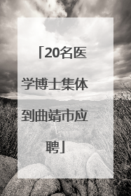 20名医学博士集体到曲靖市应聘