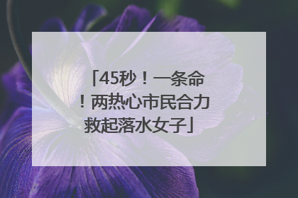 45秒！一条命！两热心市民合力救起落水女子