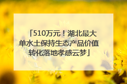 510万元！湖北最大单水土保持生态产品价值转化落地孝感云梦