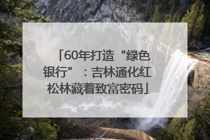 60年打造“绿色银行”：吉林通化红松林藏着致富密码