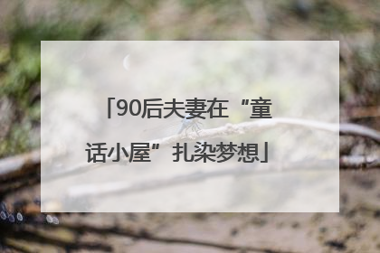90后夫妻在“童话小屋”扎染梦想