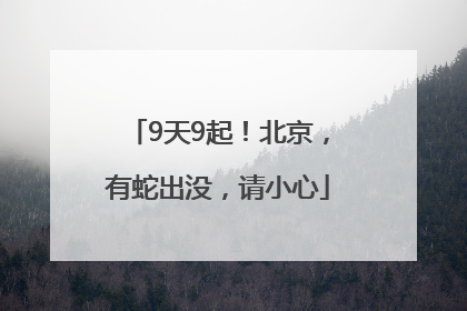 9天9起！北京，有蛇出没，请小心