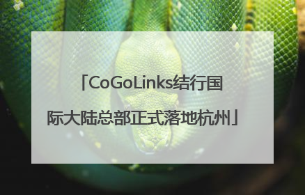 CoGoLinks结行国际大陆总部正式落地杭州