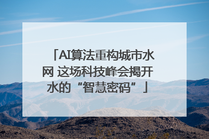 AI算法重构城市水网 这场科技峰会揭开水的“智慧密码”