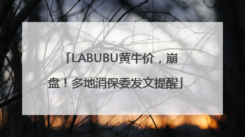 LABUBU黄牛价，崩盘！多地消保委发文提醒