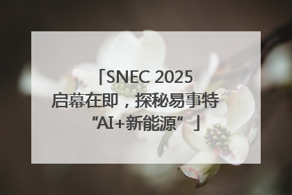 SNEC 2025启幕在即，探秘易事特“AI+新能源”